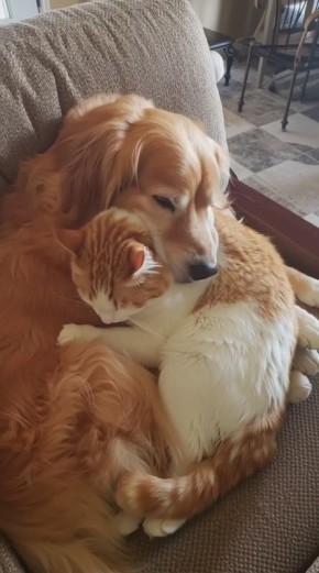 Засыпаем с радостными мыслями о том, что выходные продолжаются