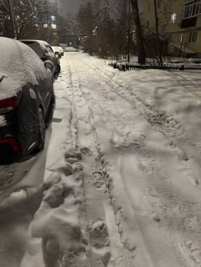 Юрий Шалабаев: Читаю соцсети и СМИ, где снегопад также тема номер один